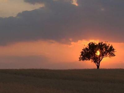 Συγκίνησε το Πατρινό κοινό το "Αρκα...