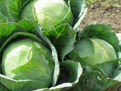 Διουρητικές τροφές: Για όσους υποφέρουν ...