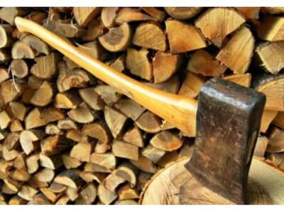 Σκότωσε με τσεκούρι τη μητέρα του επειδή...