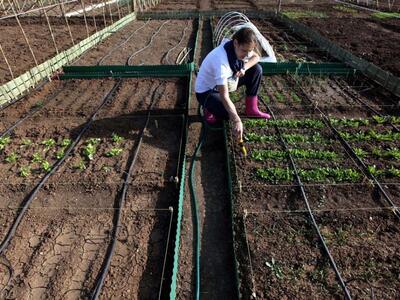 Αγρίνιο: Φιλοπεριβαλλοντικές εκπαιδευτικ...
