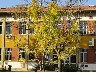 Πανεπιστήμιο Πατρών: Tα νέα της βιβλιοθή...