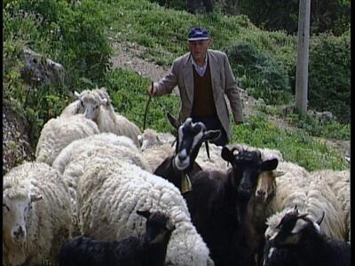 Σχέδιο παραχώρησης 3 εκατομμυρίων στρεμμ...