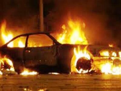 Οι Οικολόγοι Πράσινοι για τον εμπρησμό τ...