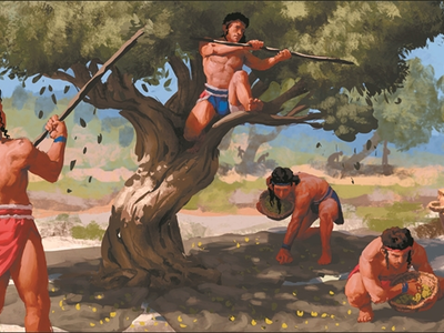 Ενα γενεαλογικό δέντρο στην Αχαΐα το 1500 π.Χ.