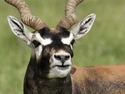 Παίρνω ναρκωτικά και καταστρέφω, τι είμα...