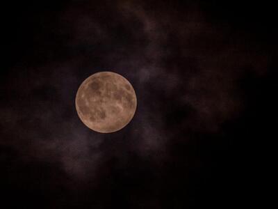 Με το φακό του φωτογράφου Γιάννη Σαρηγιάννη
