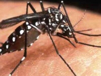 Πάτρα: Διήμερη ενημέρωση για  τον Ιό του...