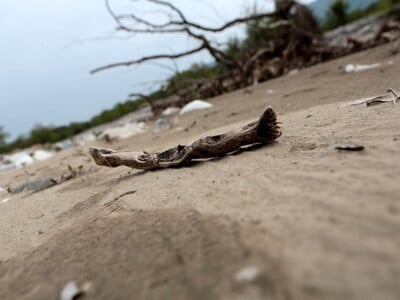 Κλιματική Αλλαγή: «Οι τρεις τελευταίοι μ...