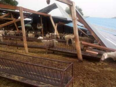 ΔΕΙΤΕ ΦΩΤΟ από τις τεράστιες καταστροφές...