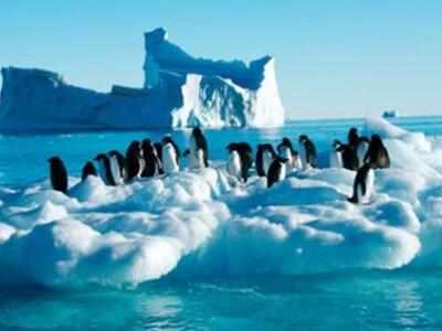 «Παχαίνουν» οι παγετώνες της Ανταρκτικής