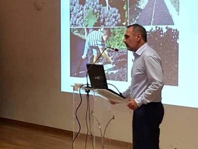 Ανδρέας Κατσανιώτης: «Ειδικός Φόρος στο ...