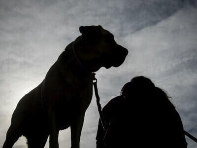 Τραγωδία στον Άγιο Λέοντα Ζάκυνθου: Νεκρ...