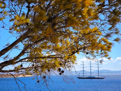 Καιρός: Αίθριος μέχρι και την Παρασκευή,...