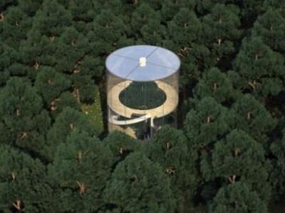 Αυτό είναι, ίσως, το ωραιότερο δεντρόσπι...