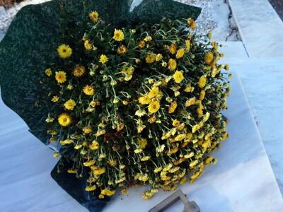 Αγρίνιο: Άλλος ένας νέος άνθρωπος έφυγε ...