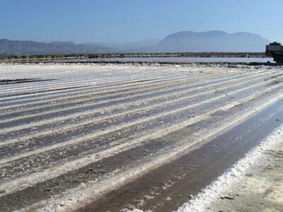 Μεσολόγγι: Σε «ξένα χέρια» η Μικρή Αλυκή...