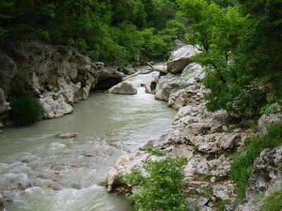 Με 99 φωτογραφίες συμμετέχει η Οικολογικ...