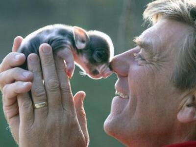 Αποκωδικοποιήθηκε το DNA του χοίρου