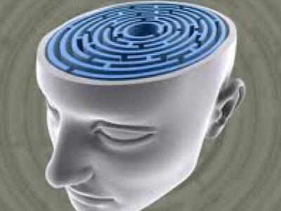 Σχολική ημερίδα με θέμα «Εγκεφαλικές Ανι...