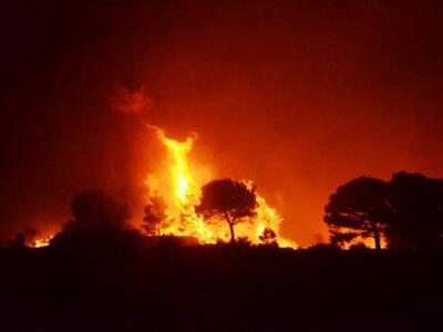Φωτιά στην Άρλα Αχαΐας - Στο σημείο ισχυ...