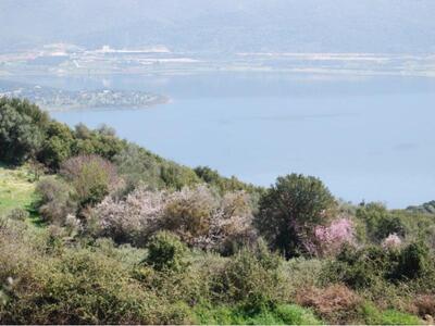 Αμφιλοχία: Χωρίς ουσιαστικό αποτέλεσμα η...