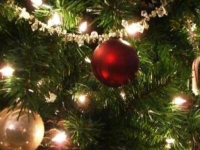 Xριστουγεννιάτικο δένδρο με δωρεάν τρόφι...