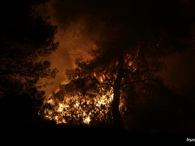 Σε ύφεση η φωτιά στην Κερατέα – Στο πόδι...