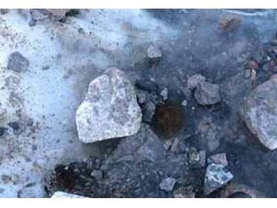 Φυτά "ξύπνησαν" και βλασταίνου...