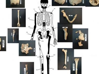 Ιδού οι σκελετοί της Αμφίπολης - Δείτε Φ...
