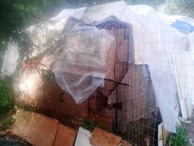 Πάτρα: Τις μάντρωσαν ακόμη περισσότερο τ...