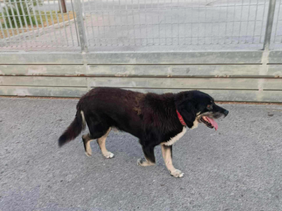 Πάτρα: Χάθηκε ο "Ζαχαρίας" - Α...