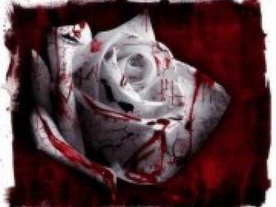 Τα ματωμένα ρόδα στην "Πολιτεία"