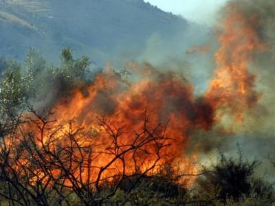 Πάτρα:Σύγκληση του Συντονιστικού Τοπικού...