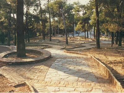 Πάτρα: Η Δημοκρατική Αριστερά καθαρίζει ...