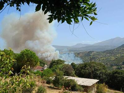 Εφημερίδα "Φιλόδημος" Αιγίου