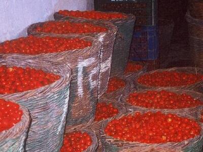 Το «Τοματάκι Σαντορίνης» και ο τουρκικός...