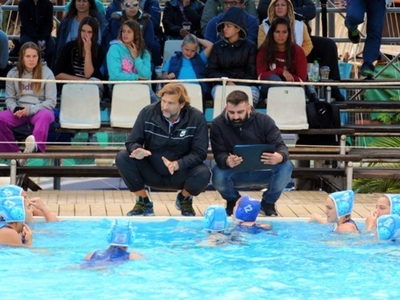 Νίκησε και ελπίζει η ΝΕΠ- Οργή Χάρη Τσιμάρα