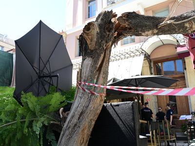 Πτώση δέντρου: «Νομίζαμε πως πέθανε η γυ...