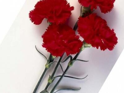 Έφυγε από τη ζωή ο Μιχάλης Κάνιστρας- Θλ...