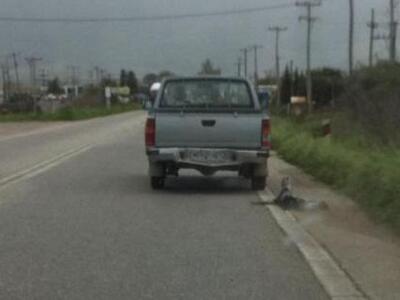 Πύργος: Η υπόθεση βασανισμού σκύλου (δεν...