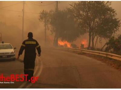 Νικολόπουλος: Όλοι μιλούν για εμπρησμό α...