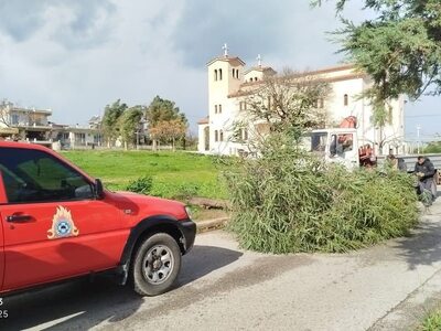 ΦΩΤΟ: Εφημερίδα "Φιλόδημος" Αιγίου