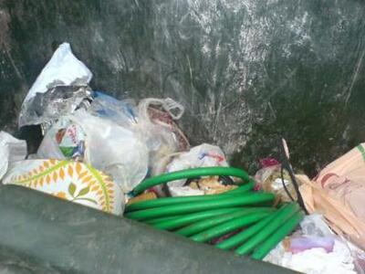 Πέταξαν ζωντανό σκύλο στα σκουπίδια