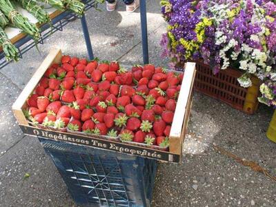 Η γιορτή της φράουλας, σήμερα, στο Δημοτ...