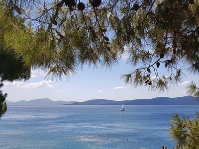 Το Euronews αποθεώνει τους Λειψούς σε ει...