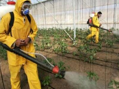 Κιλελέρ: Ανακύκλωση κενών συσκευασιών φυ...