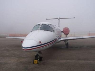 Ζάκυνθος: Απίστευτο! Γλάρος συγκρούστηκε...