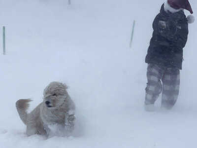 Σάκης Αρναούτογλου: Πτώση 15 βαθμών μέσα...