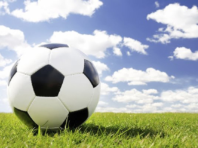 Πετεινοί: Ελάχιστες αλλαγές στο δυναμικό τους