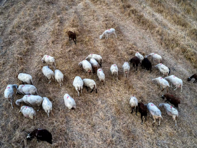 Προστέθηκαν νέοι σταθμοί απολύμανσης για...